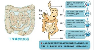 測(cè)測(cè)你的腸道康健嗎？排毒才是“腸”久之計(jì)！