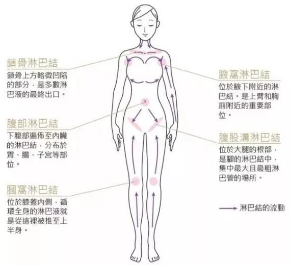 淋巴排毒真的太重要了！淋巴通，百病消