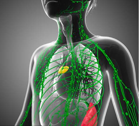 淋巴排毒真的太重要了！淋巴通，百病消