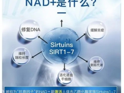 揭秘富人圈熱捧的抗衰老秘密：NAD+的神奇功效