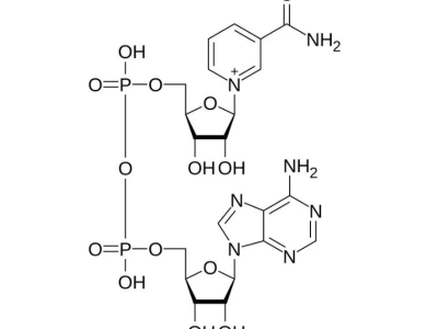 泰國AHG引領(lǐng)NAD+抗衰新時代