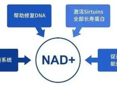 打完NAD+后，你的身體會發(fā)生什么變化？